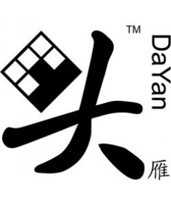 DaYan